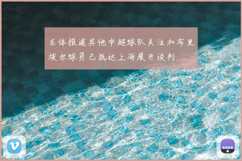 东体报道其他中超球队关注加布里埃尔球员已抵达上海展开谈判