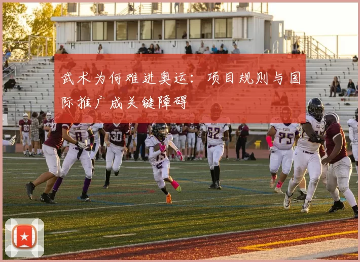 武术为何难进奥运:项目规则与国际推广成关键障碍