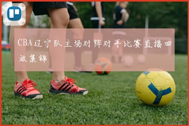 CBA辽宁队主场对阵对手比赛直播回放集锦