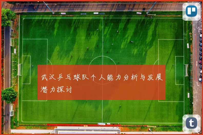 武汉乒乓球队个人能力分析与发展潜力探讨