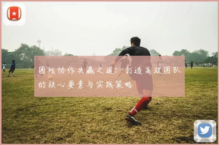 团结协作共赢之道：打造高效团队的核心要素与实践策略