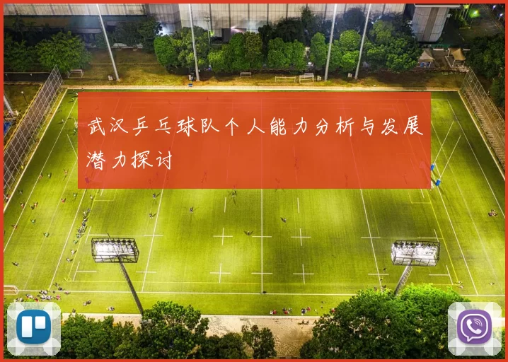 武汉乒乓球队个人能力分析与发展潜力探讨
