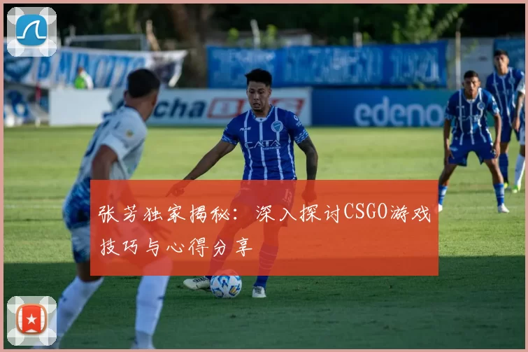 张芳独家揭秘：深入探讨CSGO游戏技巧与心得分享