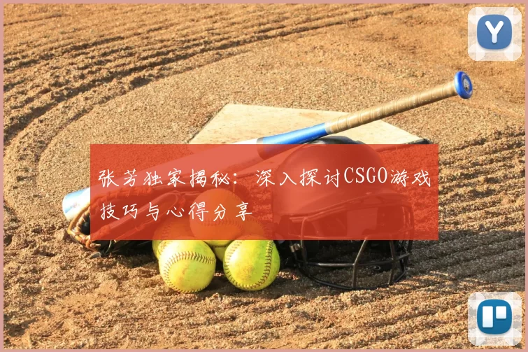 张芳独家揭秘：深入探讨CSGO游戏技巧与心得分享