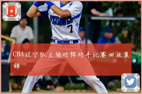 CBA辽宁队主场对阵对手比赛回放集锦
