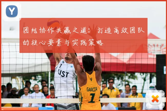 团结协作共赢之道：打造高效团队的核心要素与实践策略