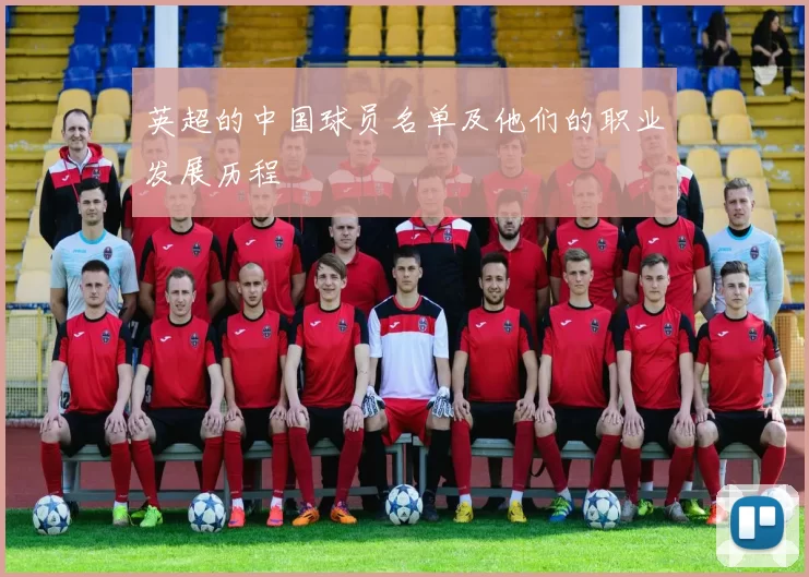 英超的中国球员名单及他们的职业发展历程