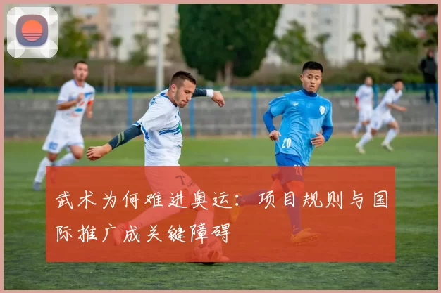 武术为何难进奥运：项目规则与国际推广成关键障碍