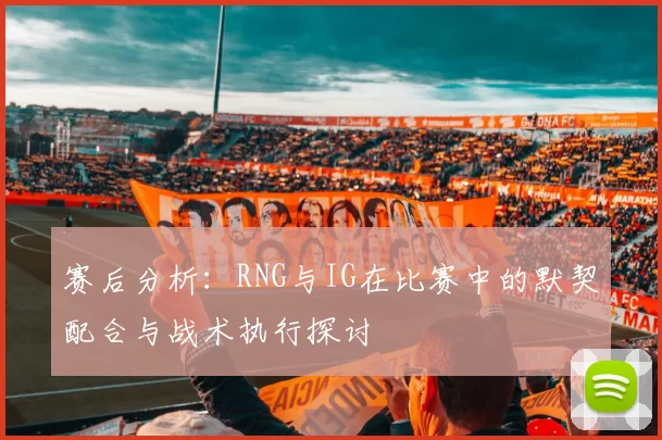 赛后分析：RNG与IG在比赛中的默契配合与战术执行探讨