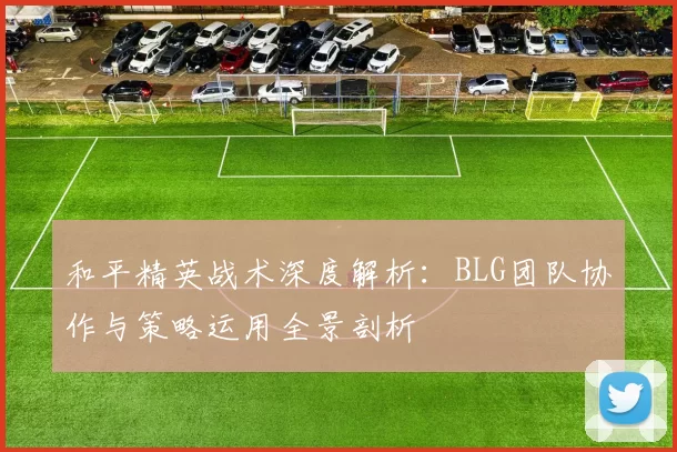 和平精英战术深度解析:BLG团队协作与策略运用全景剖析