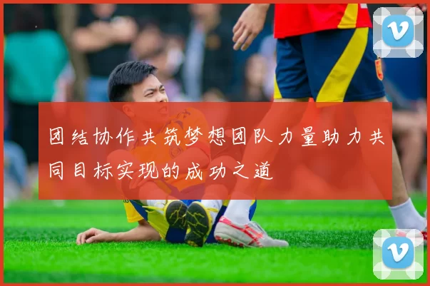 团结协作共筑梦想团队力量助力共同目标实现的成功之道