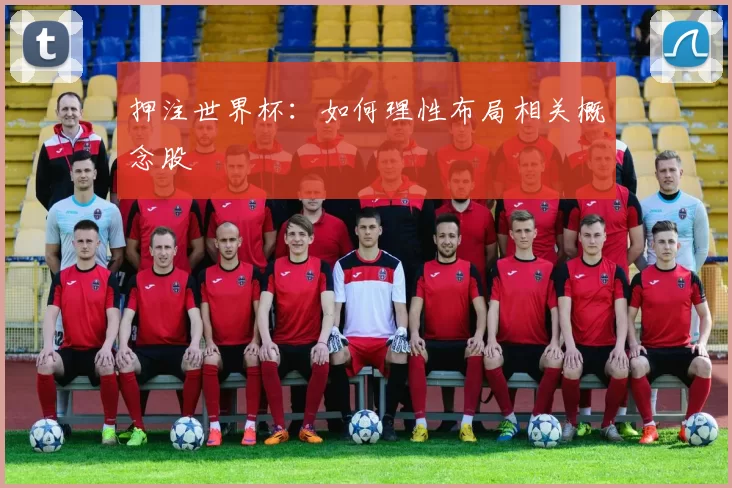 押注世界杯：如何理性布局相关概念股