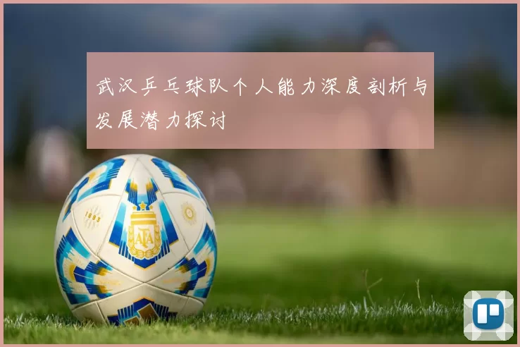 武汉乒乓球队个人能力深度剖析与发展潜力探讨
