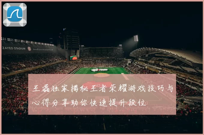 王磊独家揭秘王者荣耀游戏技巧与心得分享助你快速提升段位