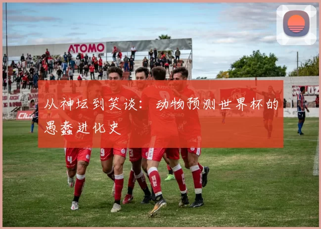 从神坛到笑谈:动物预测世界杯的愚蠢进化史