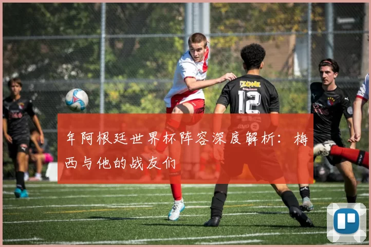 年阿根廷世界杯阵容深度解析：梅西与他的战友们